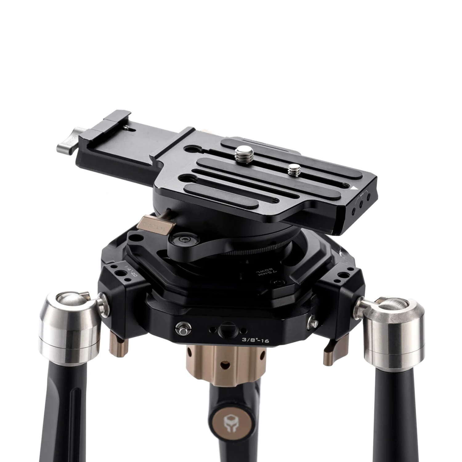 Hydra Articulating Car Mounting System