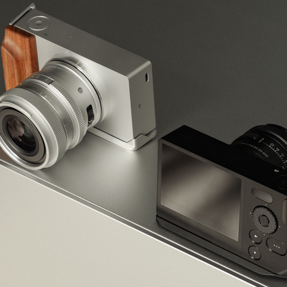 Vintage Camera Cage for Sigma BF Base Kit